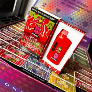 Ace Packman Disposable – Watermelon Zkittles